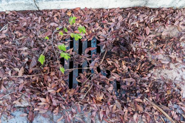 Cost of Yard Drain Unclogging in Harrisburg