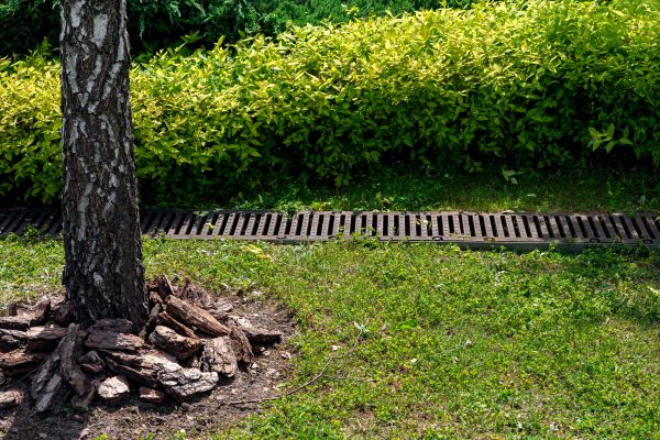 Garden Drainage Installation in Harrisburg