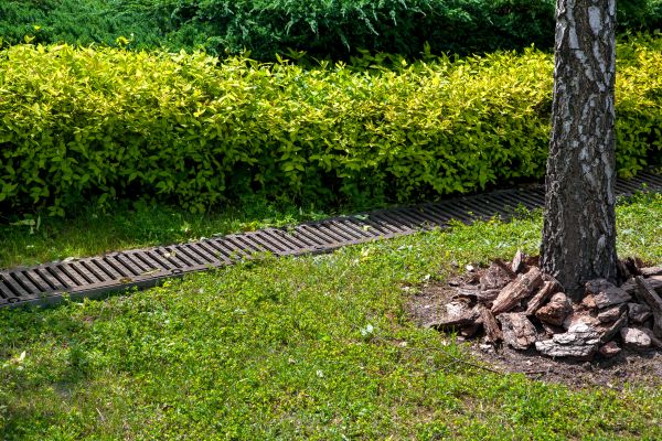 Residential Landscape Drainage in Harrisburg