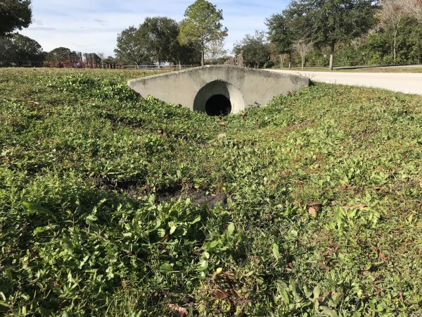 Cost of Swale Drainage Service in Harrisburg